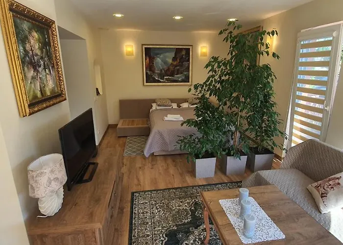 Sarlotos Apartamentai Κλαϊπέντα